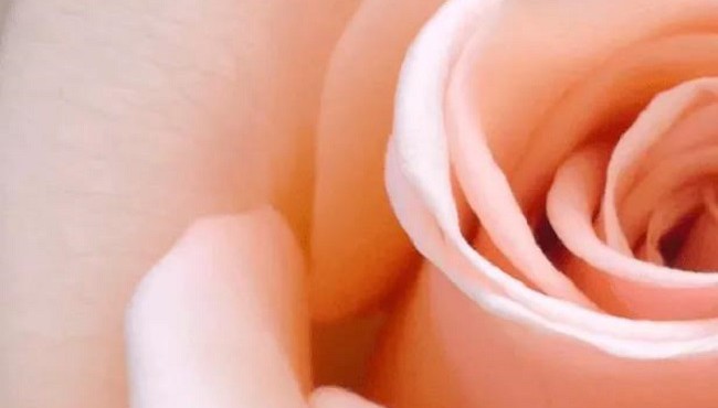 �绨�����š���������ƽ����������Ů��