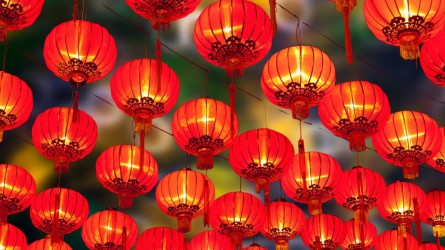 ����40001���ϻ����������Ϸ���ż�ί��չ2022�괺�ڼ���ǰ���찵��