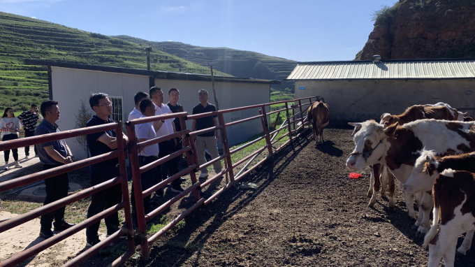 ����40001���ϻ����������Ϸ���ŵ�ί��ǡ����³�������һ�и�׿�����������������ο��