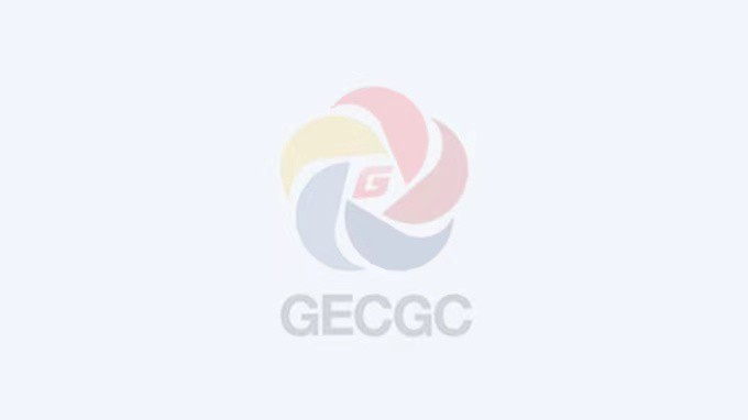 ���Ź�˾��ίίԱ����ί��ǡ����רԱʦ��������ʡ�������Ժ��Ŀ�ֳ�����